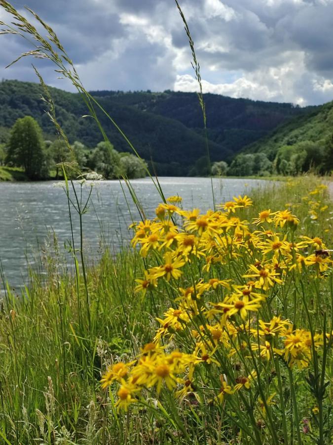 Entre Meuse Et Foret Revin  Dış mekan fotoğraf