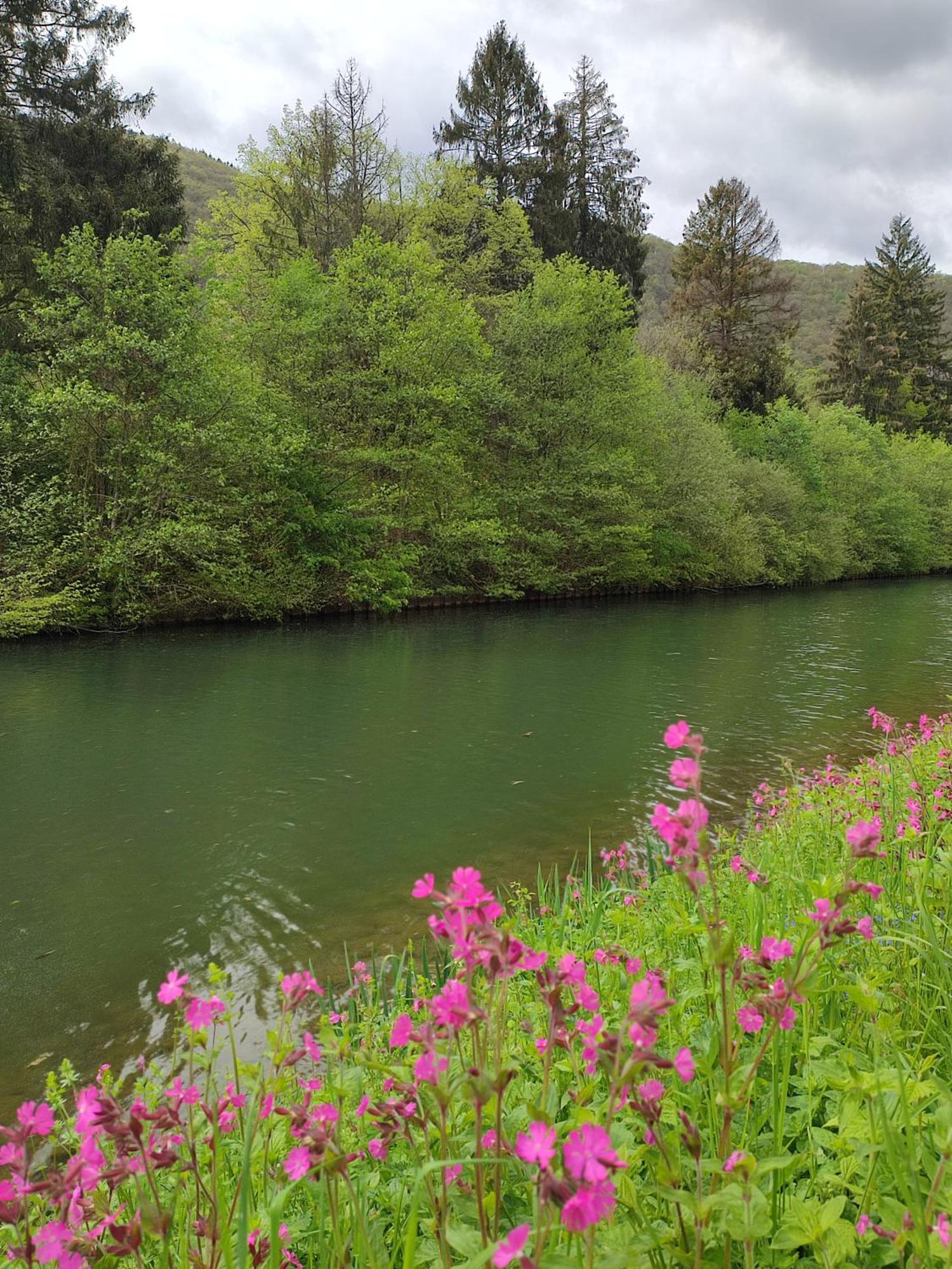 Entre Meuse Et Foret Revin  Dış mekan fotoğraf
