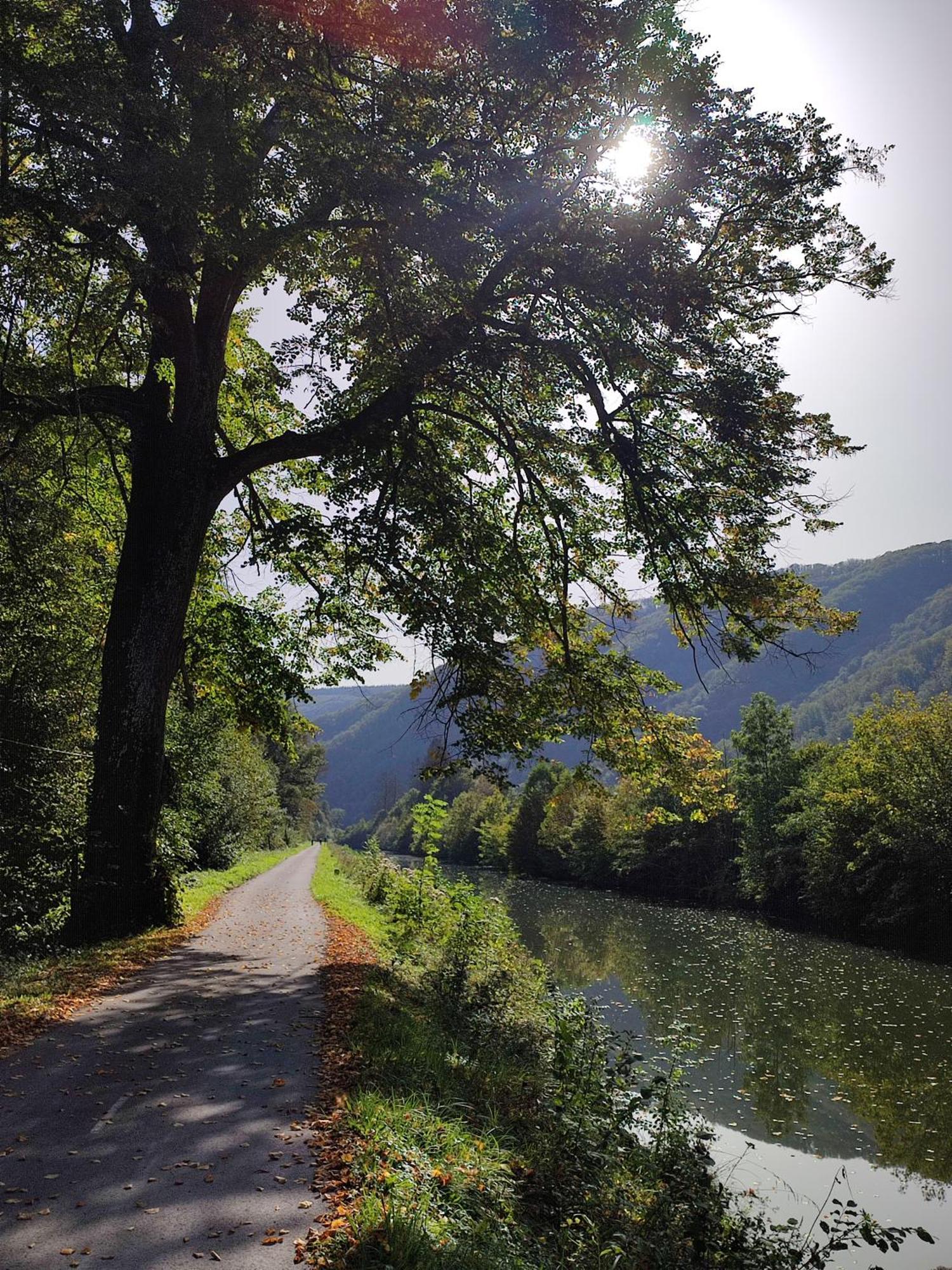 Entre Meuse Et Foret Revin  Dış mekan fotoğraf